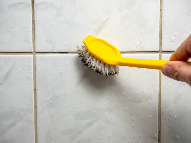 Reliable Red Corral, CA Mold Remediation Solutions