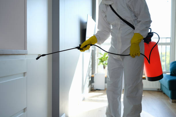 Best Residential Mold Remediation in Red Corral, CA