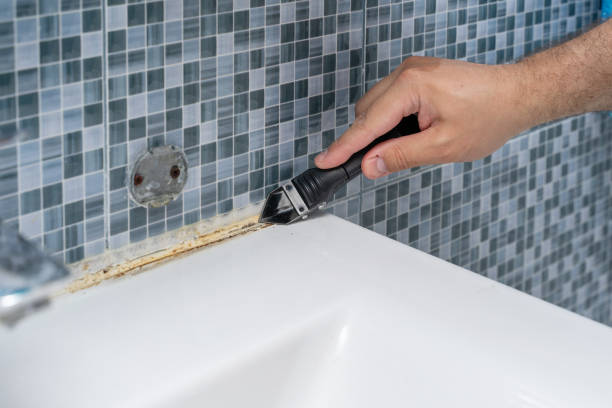 Best Preventive Mold Services in Red Corral, CA