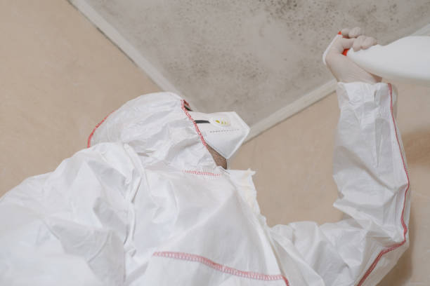  Red Corral, CA Mold Removal Pros